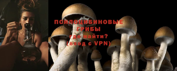 тгк Медвежьегорск