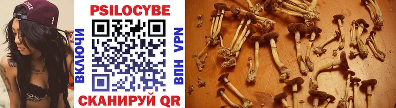 Псилоцибиновые грибы Psilocybe Устюжна
